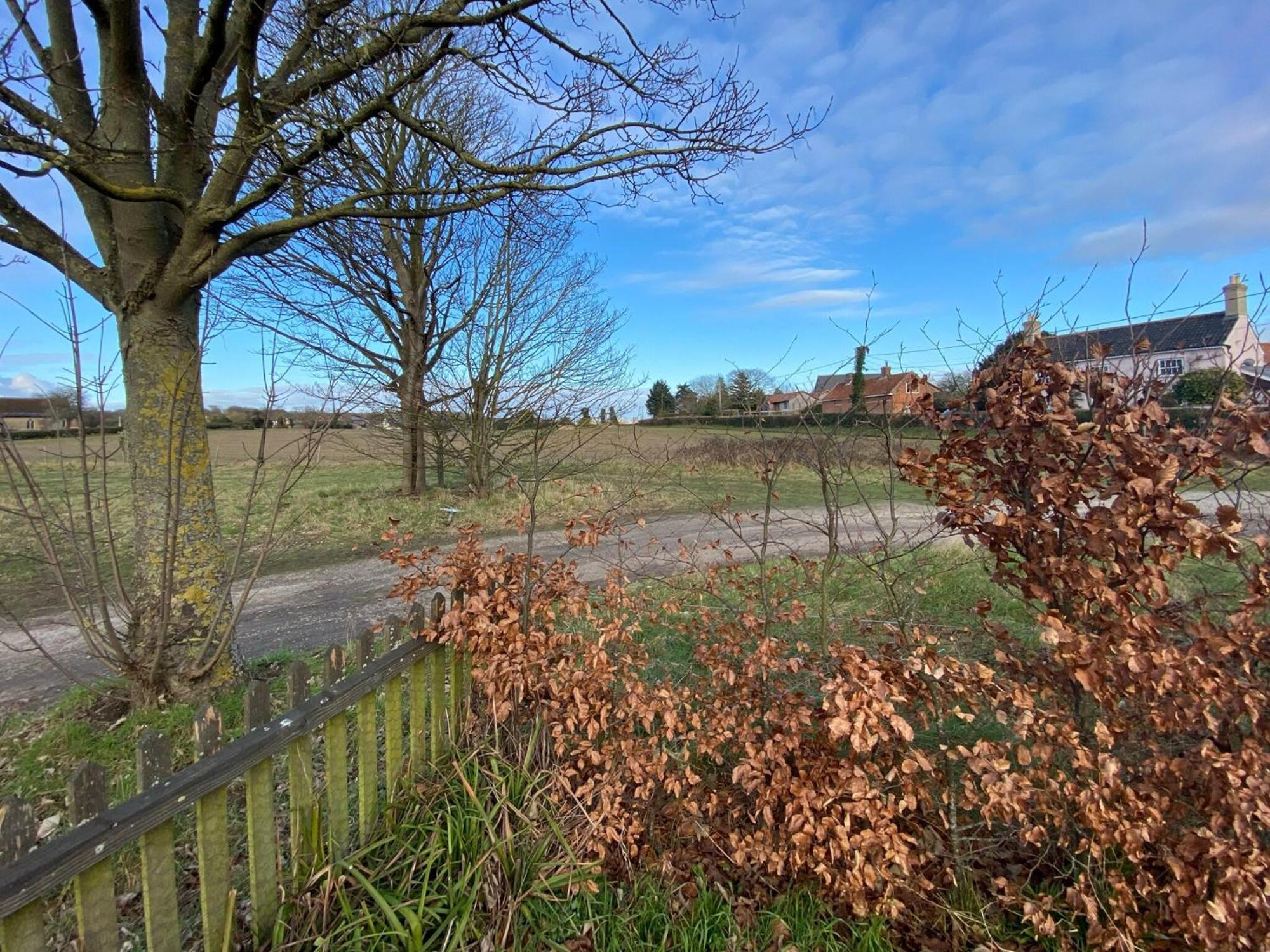 Honey Cottage Friston Dış mekan fotoğraf